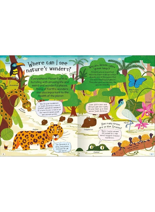 Curious Questions & Answers About Natures Wonders - Image 2