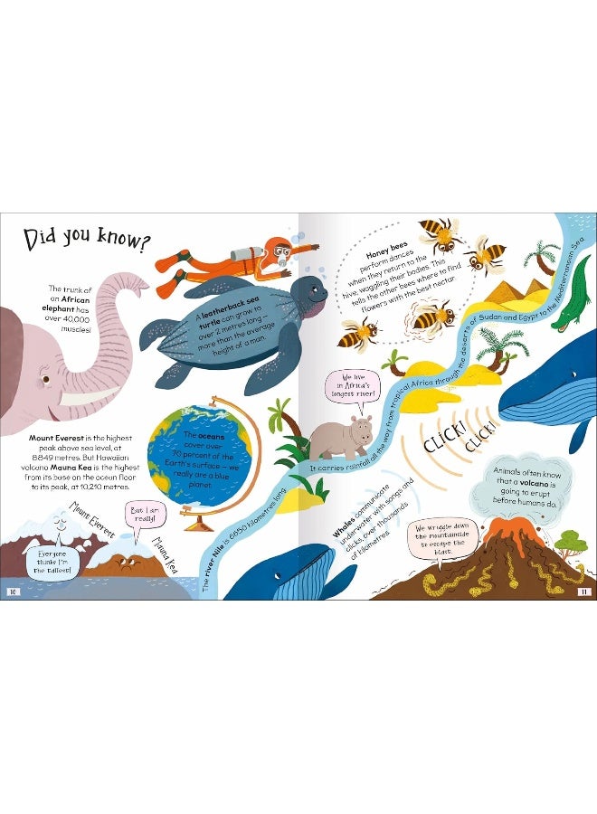 Curious Questions & Answers About Natures Wonders - Image 5