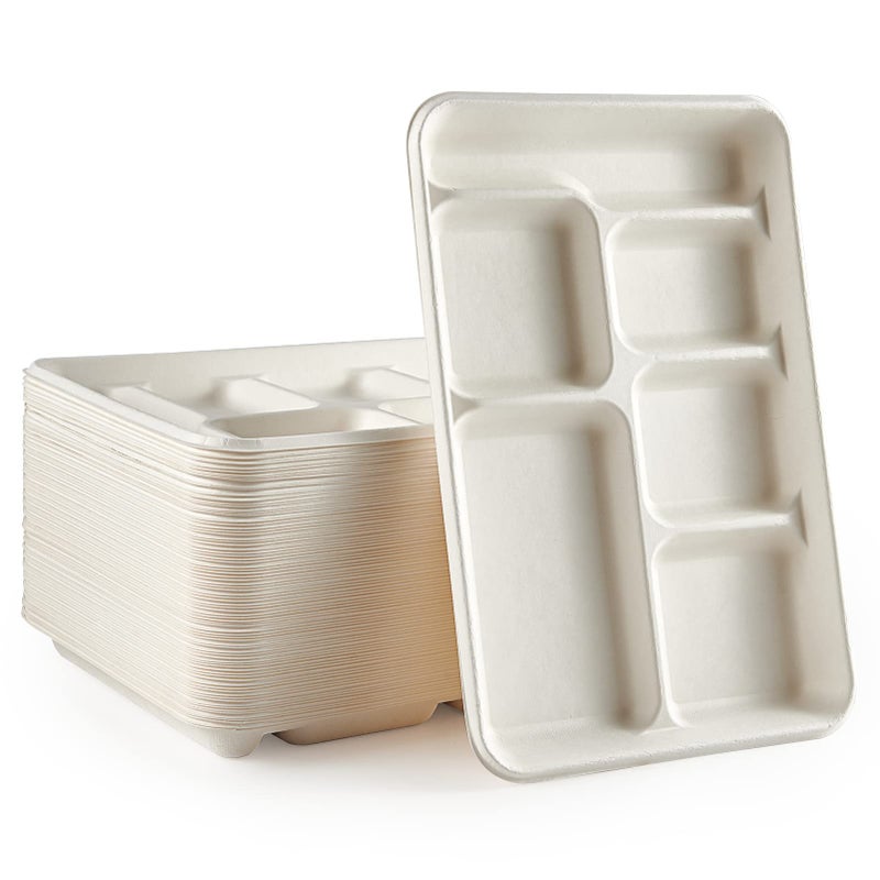 Vplus 100 Compostable 6 Compartment Plates 90 Pack Compartment Paper Plate 125x86 inch Disposable School Lunch Trays EcoFriendly Bagasse Plates for School Lunch Buffet and Party