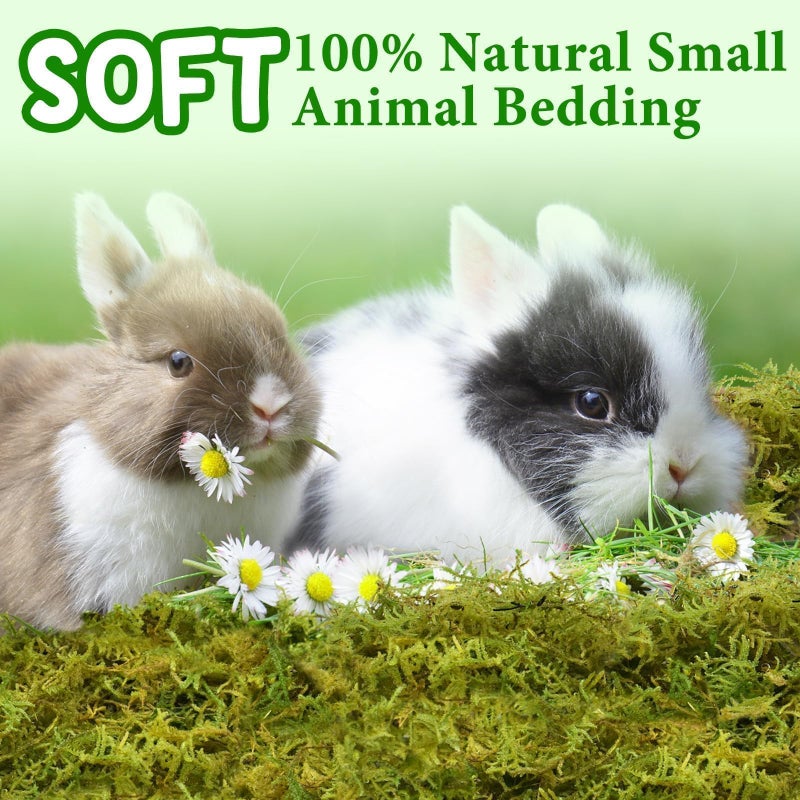 Halatool 12QT Small Animals Bedding & Nesting Material, Forest Moss for Odor Control Rabbits Squirrels Hamsters Guinea Pigs, Soft & Safe for Small Animals Cages Terrariums Reptiles Plants - Image 3