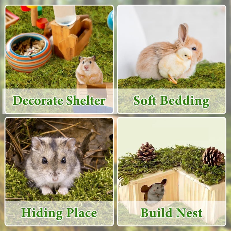 Halatool 12QT Small Animals Bedding & Nesting Material, Forest Moss for Odor Control Rabbits Squirrels Hamsters Guinea Pigs, Soft & Safe for Small Animals Cages Terrariums Reptiles Plants - Image 5