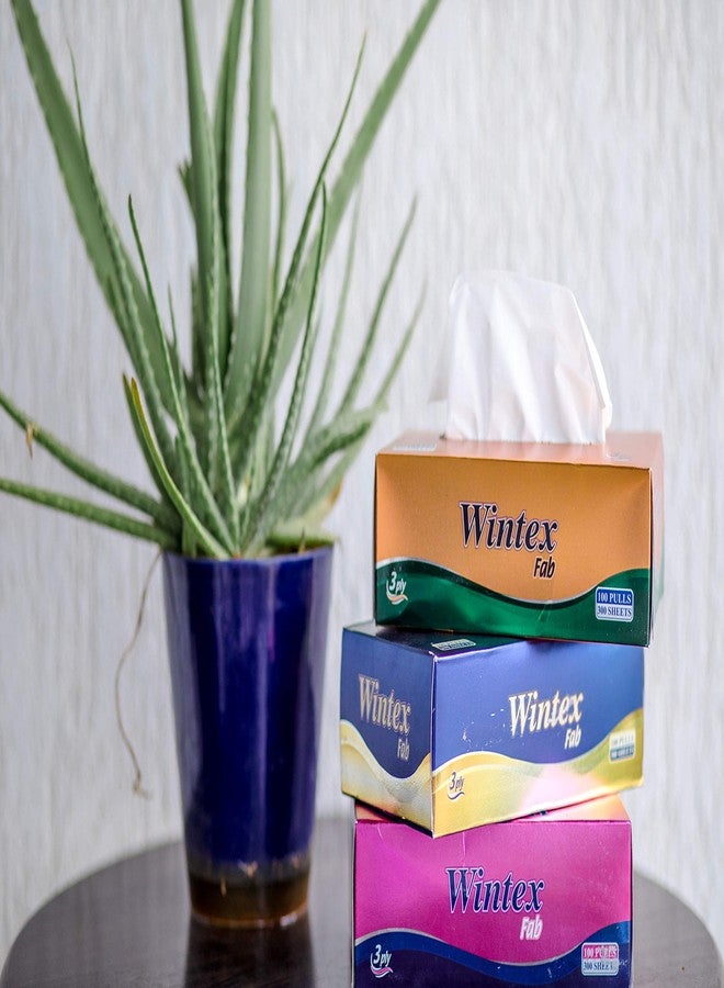 Wintex FAB 3 Ply Bext Quality Facial Tissue Box (Pack of 3 Boxes, 300 Sheets/100 Pulls per Box) - Image 5