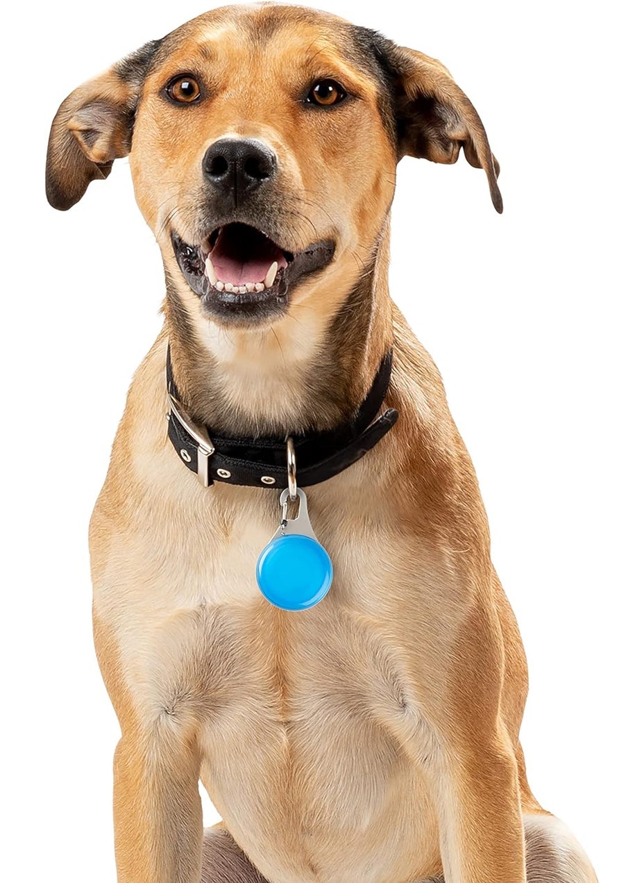 NiteIze - Nite Ize WearAbout Pet Clippable Tracker Holder Apple AirTag Holder With Locking Carabiner For Pets Blue - Image 1