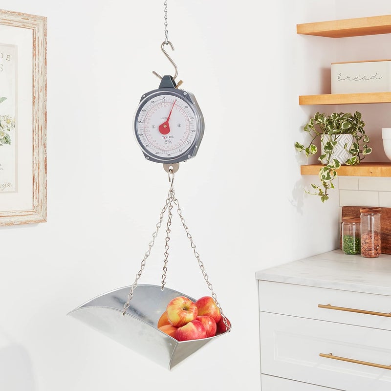Taylor Dial Style 70-Pound Industrial Hanging Scale - Image 2