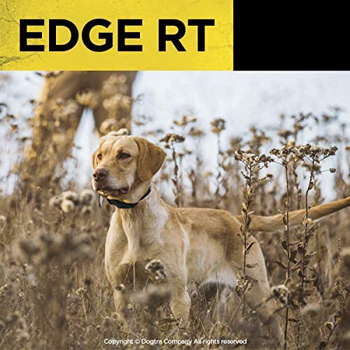 Dogtra Edge RT Orange Additional Receiver Long Range HighOutput 1Mile Waterproof 3Dog Expandable Remote Dog Training ECollar with Combination Boost Control for Professionals - Image 3