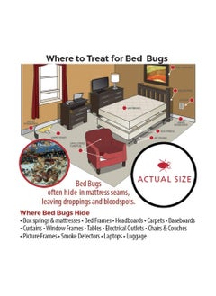 Harris HARRIS Bed Bug Killer Spray 32 Fl Oz  - Image 4