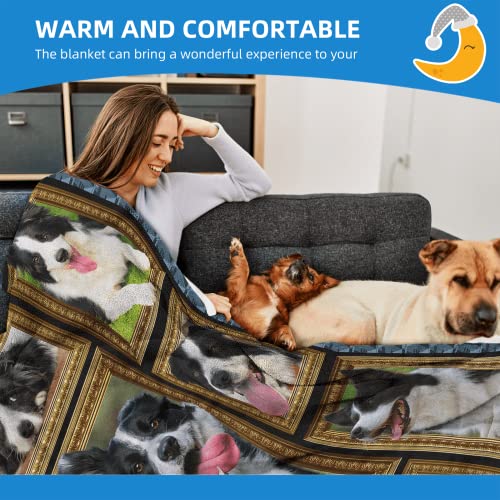 Gautamy Border Collie Blanket for Women & Men, Gifts for Dog Lovers, Soft Cozy Lightweight Warm Flannel Blanket & Throw for Sofa & Living Room Decor, 60" x 80" Twin Size - Image 4