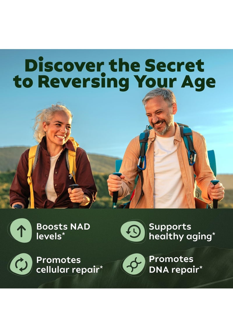 Reus Research NMN Supplement Alternative - Liposomal Nicotinamide Riboside, Resveratrol, Quercetin by Reus Research - High Purity NAD Supplement for Anti-Aging, Energy, Focus - 80 Capsules