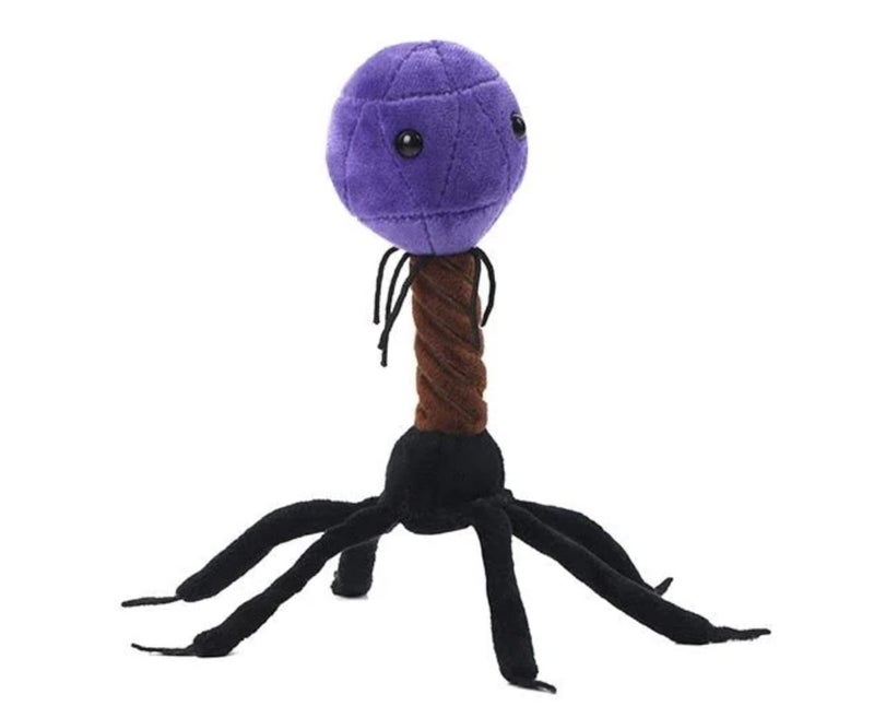Giant Microbes T4 (T4-Bacteriophage) Plush Toy - Image 3