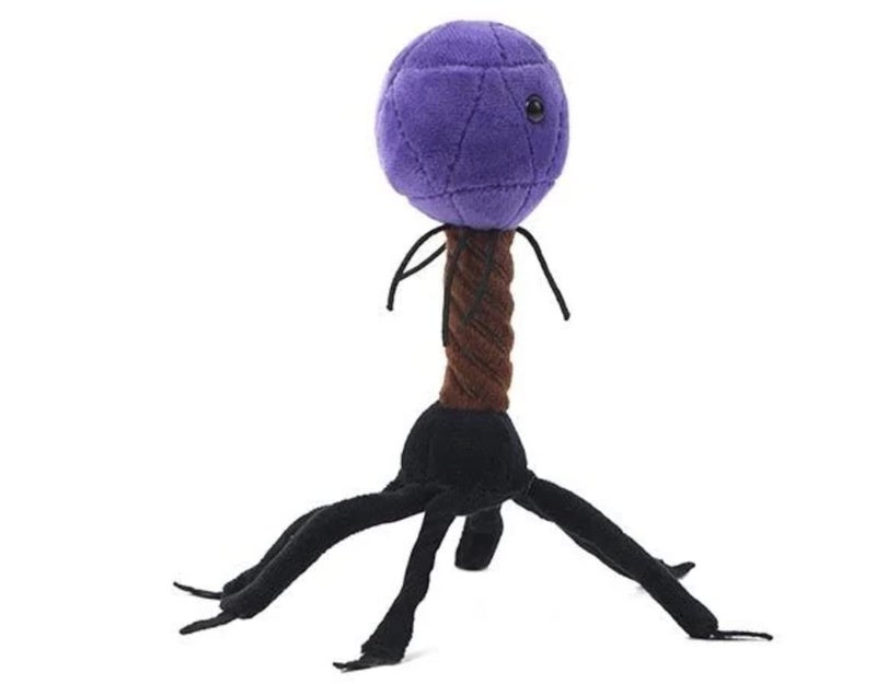 Giant Microbes T4 (T4-Bacteriophage) Plush Toy - Image 4