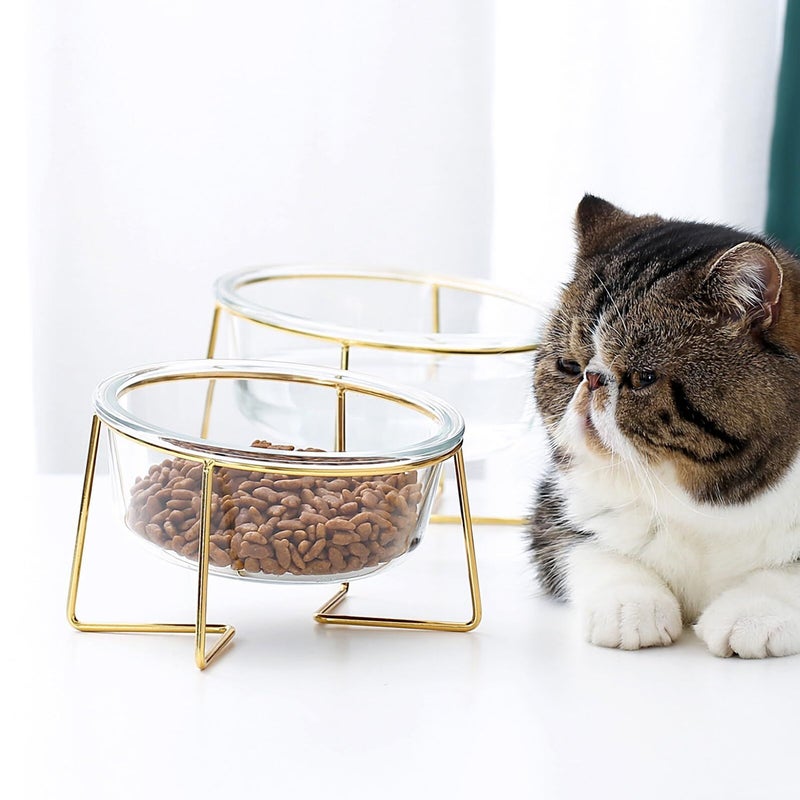 Oblique Glass Pet Feeding Bowl With Elevated Stand Raised Design For Comfortable Easy Clean Cat And Small Dog Food Bowl - Image 5