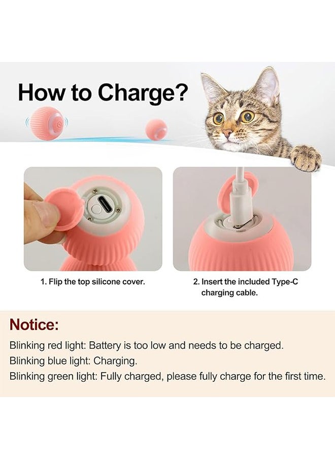 Generic Interactive Cat Ball Toy, Intelligent Indoor Automatic Moving Ball Puzzle Dispel Boredom USB Charging Pet Toy  - Image 5