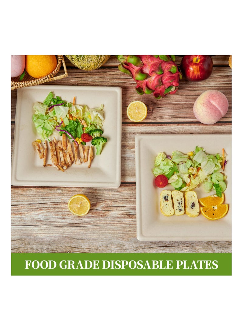 SYOSI 100PCS 6 Inch Compostable Square Plates, Disposable Sugarcane Paper Plates Eco-friendly Biodegradable Square Plates {PFAS-Free} - {BPI Certified} Sturdy Square Plates Heavy Duty Sugarcane Plates  - Image 5