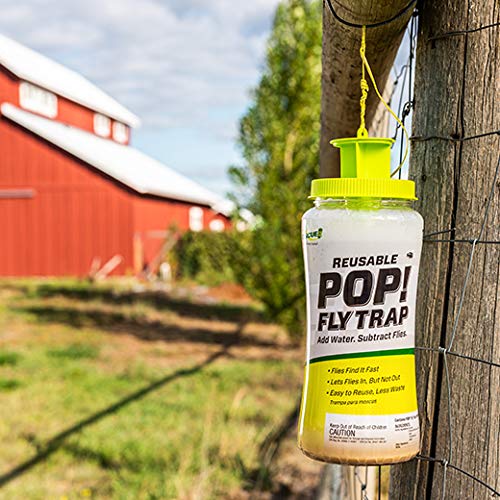RESCUE! POP! Reusable Fly Trap with Fast-Acting Water-Soluble Attractant for Home & Agricultural Settings, Durable Recyclable Plastic (Pack of 4) - Image 5