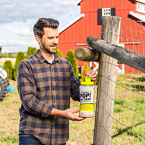 RESCUE! POP! Reusable Fly Trap with Fast-Acting Water-Soluble Attractant for Home & Agricultural Settings, Durable Recyclable Plastic (Pack of 4) - Image 4