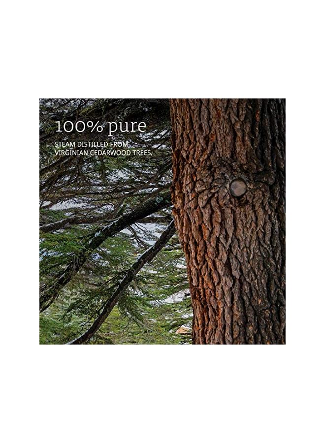 now زيت خشب الأرز العطري 1 أونصة سائلة/30 مل - Image 4