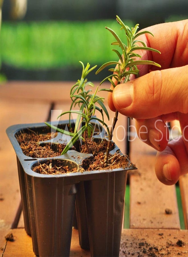 Doff Natural Rooting Powder - Image 3