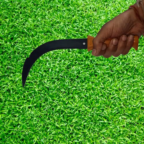 Meena Enterprises Meena Enterprises Pruning Saw Fiber Handle Traditional Handsaw Light Weight for Grass CuttingLawn CuttingTree Cutting Gardening and Agriculture Purpose Hand powered  - Image 4