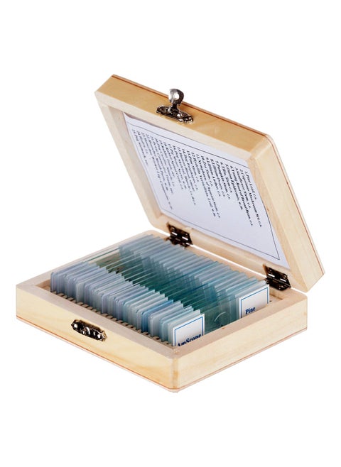 AmScope PS25 Prepared Microscope Slide Set for Basic Biological Science Education 25 Slides Includes Fitted Wooden Case Brown