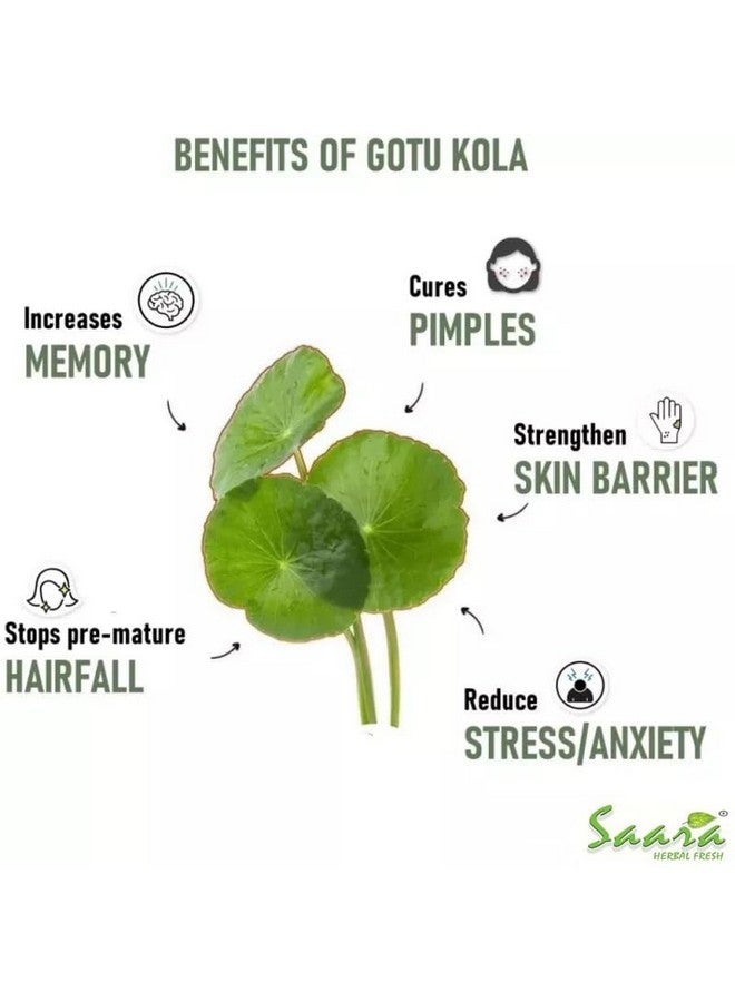 Saara HERBAL FRESH Vallarai Powder, 50g, Centella Asiatica, Gotu Kola Powder, Pennywort, Brahmi Booti, Saraswati, Vallarai keerai Powder, (pack of 1 x 50g) - Image 3