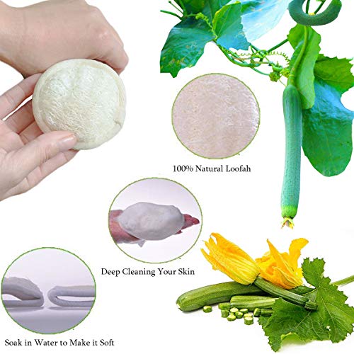 Tegelrying Loofah Sponge Exfoliating Facial Cleaning Pads,10 Packs Natural Loofa Face Scrubber Large Cleanser for Men Women Bath Spa Cleansing,3.15 Inches Dia - Image 4
