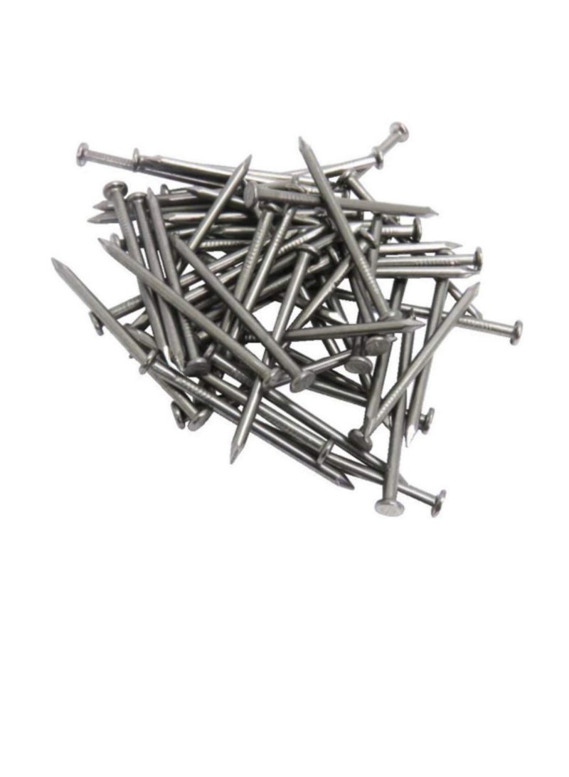 High Strength Round Head Nails For Carpentry Hardware Electrical Etc (100, 1 1/2 inch)  - Image 1
