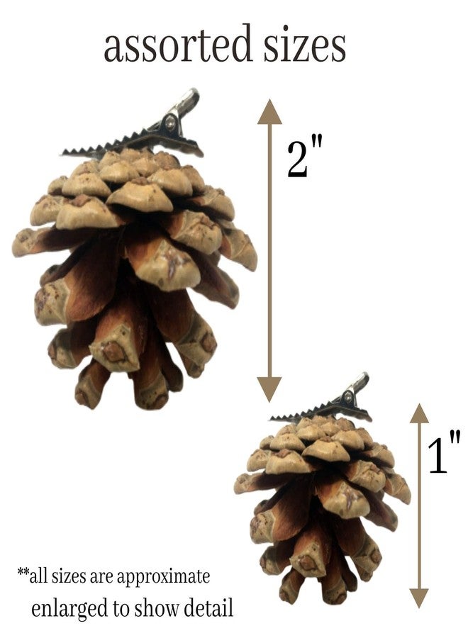 BANBERRY DESIGNS Pinecone Christmas Ornaments - Xmas Decorations - Holiday Clip On Ornaments - Set of 20 - Real Pinecones with Silver Metal Clips Attached - Each Measures 1" to 2" - Image 3