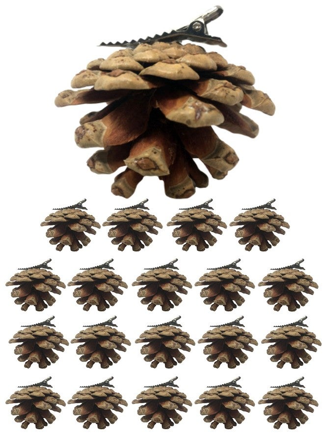 BANBERRY DESIGNS Pinecone Christmas Ornaments - Xmas Decorations - Holiday Clip On Ornaments - Set of 20 - Real Pinecones with Silver Metal Clips Attached - Each Measures 1" to 2" - Image 1
