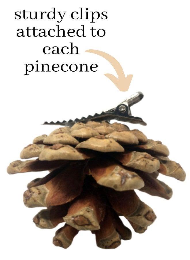 BANBERRY DESIGNS Pinecone Christmas Ornaments - Xmas Decorations - Holiday Clip On Ornaments - Set of 20 - Real Pinecones with Silver Metal Clips Attached - Each Measures 1" to 2" - Image 4