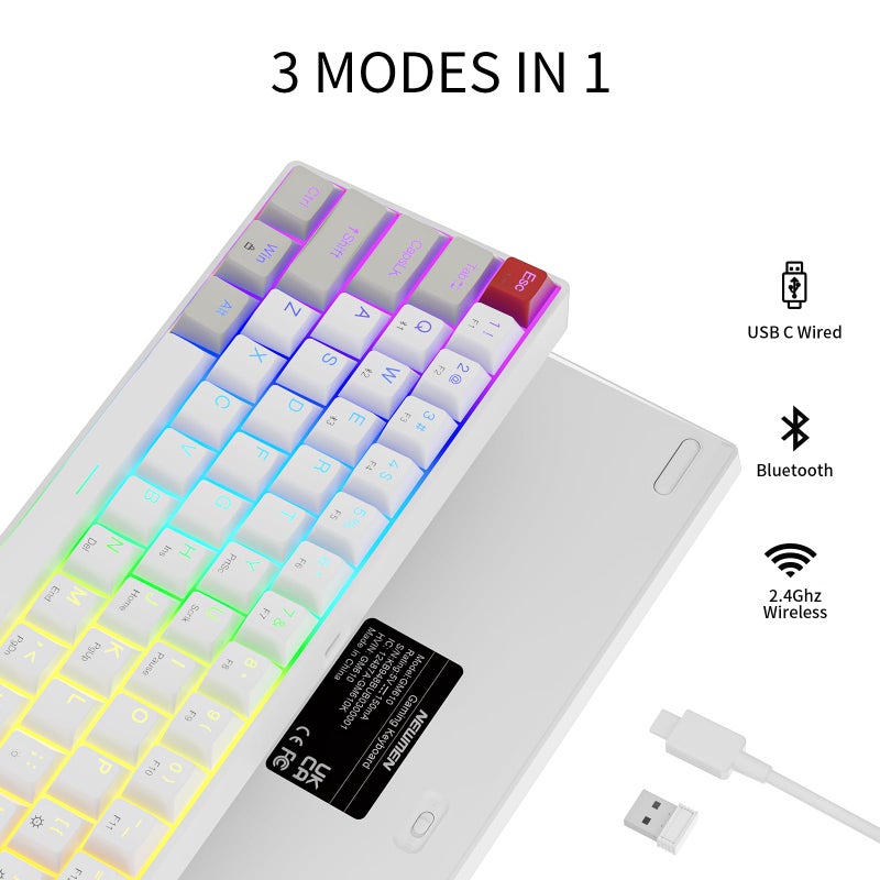 Newmen GM610 Wireless Mechanical Keyboard,60% USB C Wired/Bluetooth/2.4Ghz RGB Backlit Compact Hot Swappable Keyboard,White Anti-Ghosting PC Mac Windows Android Gaming Keyboard(Red Switches) - Image 2
