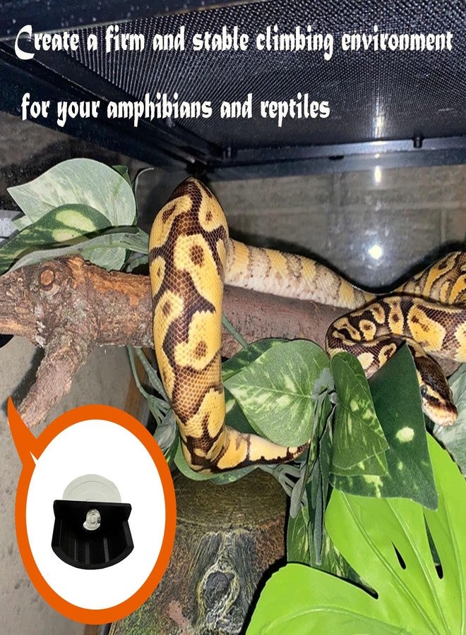 JILINWEI Branch Supports with Suction Cup for Gecko,Frog,Amphibian Lizard Snake Jumping Spider Climbing, Black Branch Holder for Reptile Terrarium Tank - Image 4