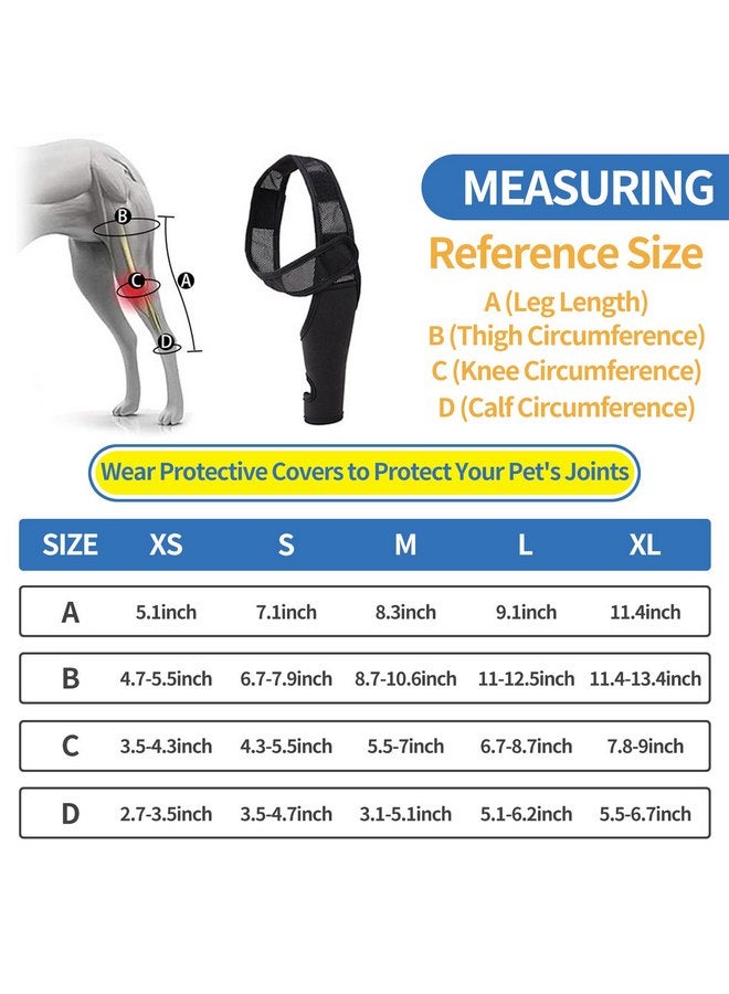 دعامة ركبة الكلاب - دعم لتمزق الرباط الصليبي الأمامي وخلع الورك والتهاب المفاصل وإصابات الأربطة - راحة للساقين الأمامية والخلفية - دعم لإعادة تأهيل الحيوانات الأليفة - قابل للتعديل (S) - Image 4
