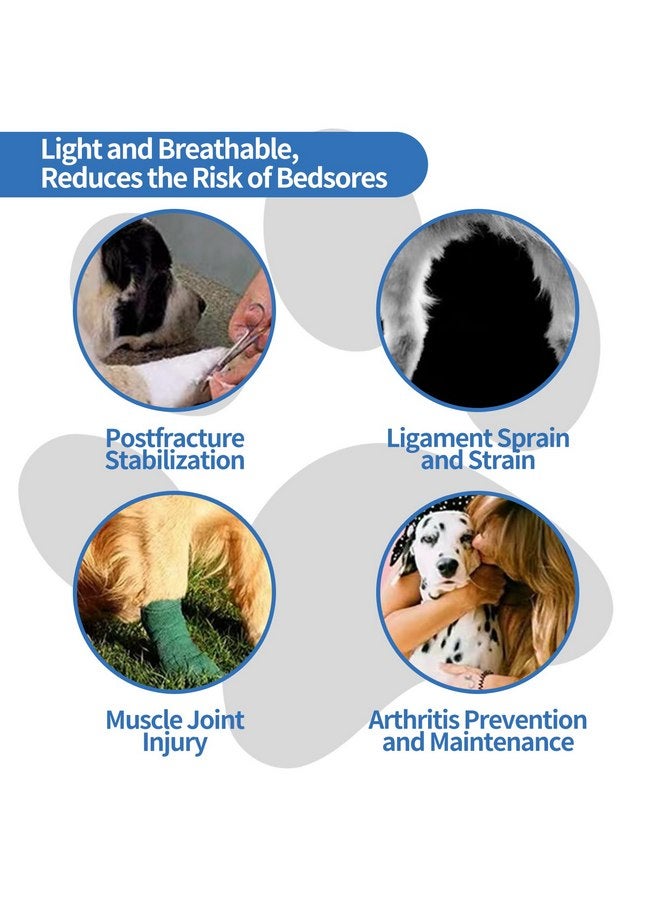 دعامة ركبة الكلاب - دعم لتمزق الرباط الصليبي الأمامي وخلع الورك والتهاب المفاصل وإصابات الأربطة - راحة للساقين الأمامية والخلفية - دعم لإعادة تأهيل الحيوانات الأليفة - قابل للتعديل (S) - Image 5