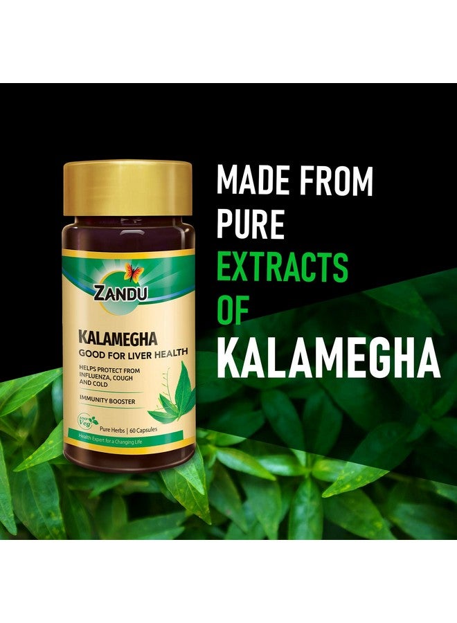 Zandu زاندو كالمغها: تركيبة أيورفيدا لدعم وظائف الكبد | يساعد في الحماية من البرد والسعال ويعمل كمعزز للمناعة | يحافظ على الصحة العامة والرفاهية - Image 2