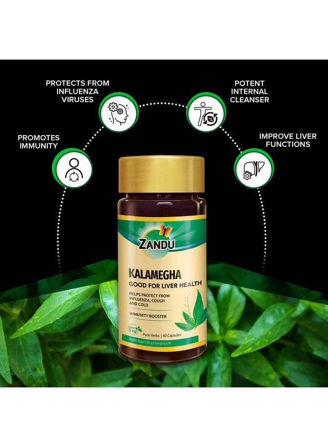 Zandu زاندو كالمغها: تركيبة أيورفيدا لدعم وظائف الكبد | يساعد في الحماية من البرد والسعال ويعمل كمعزز للمناعة | يحافظ على الصحة العامة والرفاهية - Image 3