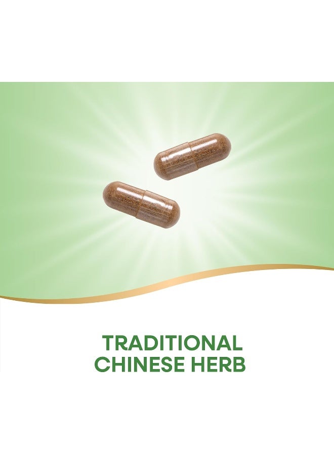 Nature's Way Kudzu Root Vegetarian Capsule 50 Capsules - Image 4