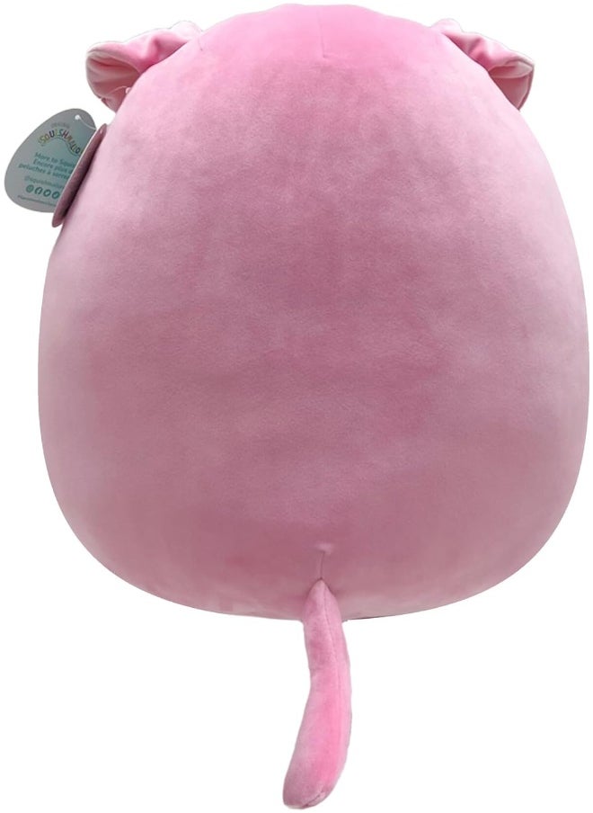 Squishmallows Squishmallows SQK - Large Plush (16") (Geraldine - Pink Scottish Fold Cat)  - Image 4