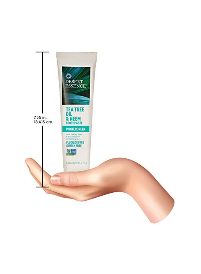 Desert Essence Natural Tea Tree Oil Wintergreen Toothpaste, 6.25 Ounce - 2 per case. - Image 2