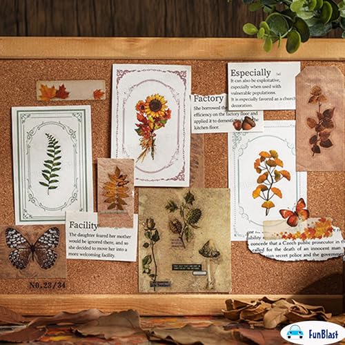 FunBlast Kawaii Sticker Set - 2 Packets, 250+ Stickers for Kids, Retro Seasons Stickers, Nature Autumn Leaves Bufferfly Mushroom Decorative Stickers, Self Adhesive, Japanese Style Sticker (Multicolor) - Image 3