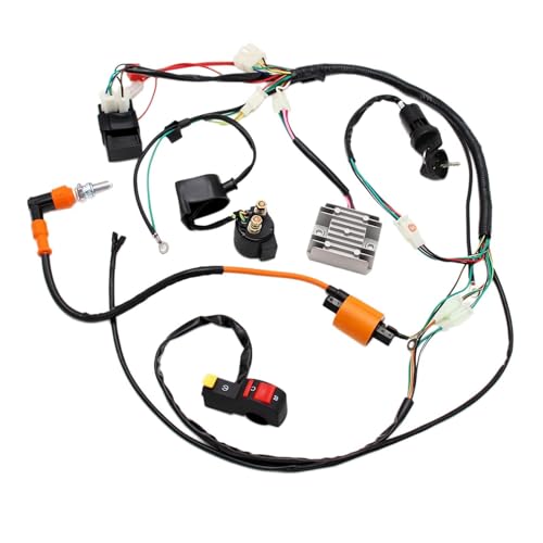 PRO BAT حزمة أسلاك كهربائية PRO BAT ATV للدراجات النارية الصينية Taotao Zongshen Loncin 150cc 200cc 250cc بمحرك 4 أشواط - Image 4