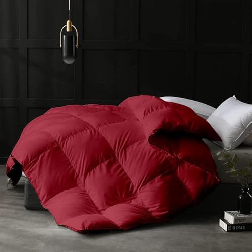 Razzai Single Bed Comforter 500 GSM Winter Comforter Premium Collection Quilted Comforter (60" x 90" Inches/152cm x 228cm) - Single Bed Comforter|Burgundy| TC - 400 - Image 1