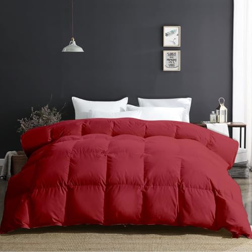 Razzai Single Bed Comforter 500 GSM Winter Comforter Premium Collection Quilted Comforter (60" x 90" Inches/152cm x 228cm) - Single Bed Comforter|Burgundy| TC - 400 - Image 4