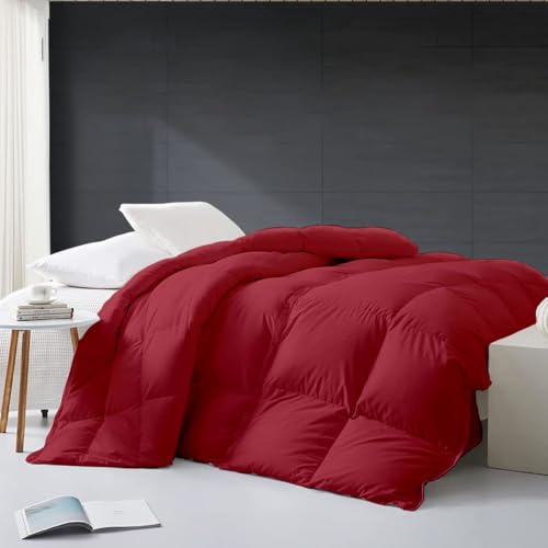 Razzai Single Bed Comforter 500 GSM Winter Comforter Premium Collection Quilted Comforter (60" x 90" Inches/152cm x 228cm) - Single Bed Comforter|Burgundy| TC - 400 - Image 3