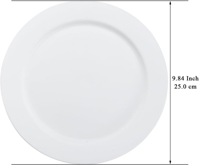 Berglander White Plastic Plates Set of 8 Pieces 10 Reusable Flat Dinner Plates Salad Plates Pasta Bowls Dishes Set Easy to Carry for Home Garden Picnic Camping Outdoor - Image 2
