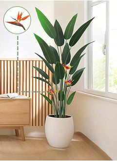 Bird of Paradise Tree