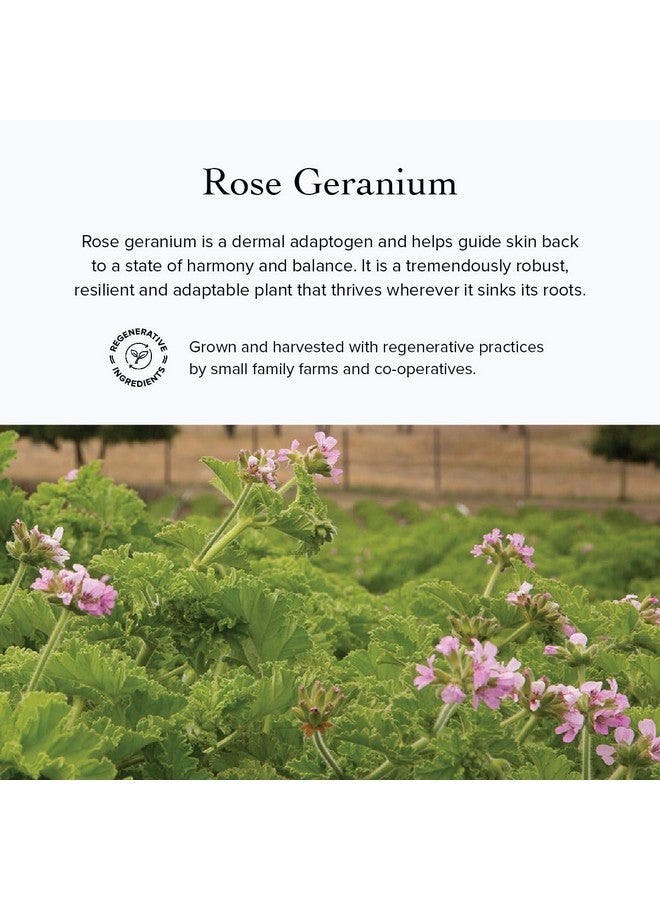 evanhealy Rose Vetiver Moisturizer | Facial Cream for All Skin Types - Lightweight Formula Packed with Antioxidants - Balancing for All Skin Types - Image 5