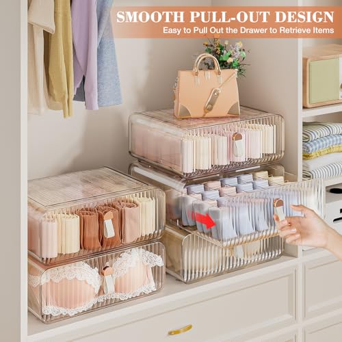 Neprock Underwear Drawer Organizer - Stackable Bra Organizer for Closet, 1 Cell Clear Acrylic Bra Storage Box, Closet Organizers and Storage for Lingerie, Undergarment, Baby Clothes, Scarf - Image 2