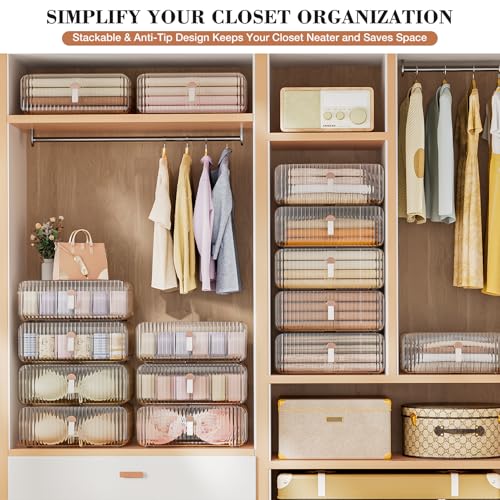 Neprock Underwear Drawer Organizer - Stackable Bra Organizer for Closet, 1 Cell Clear Acrylic Bra Storage Box, Closet Organizers and Storage for Lingerie, Undergarment, Baby Clothes, Scarf - Image 3