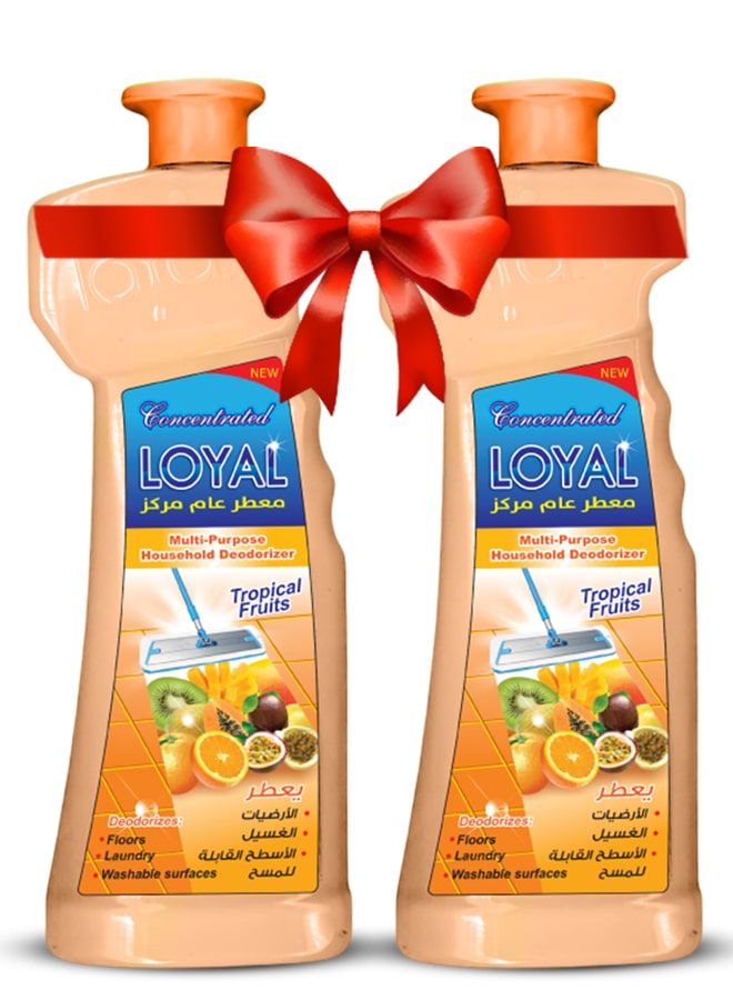 loyal Multi-Purpose Household Deodorizer Concentrated Gel, Tropical Fruits, 2x2100ml