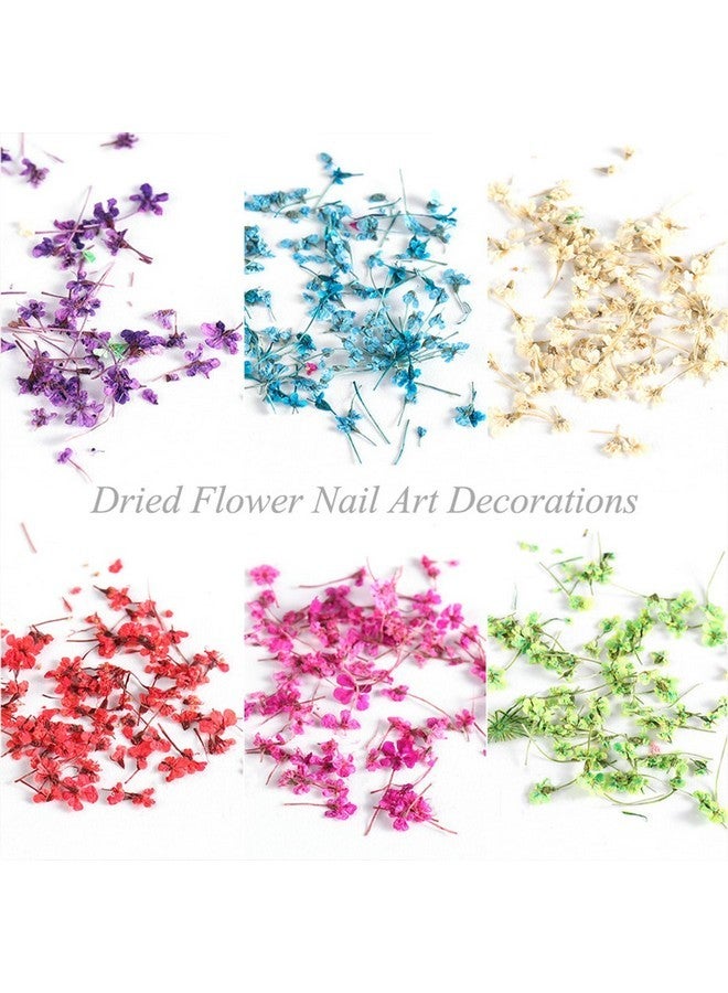 SILPECWEE 8 Boxes Dried Flowers For Nails Mini Real Nail Flowers 3D Dried Flowers Nail Stickers Nail Decor Manicure Design Nail Decorations For Makeup Diy Craft Accessories - Image 2